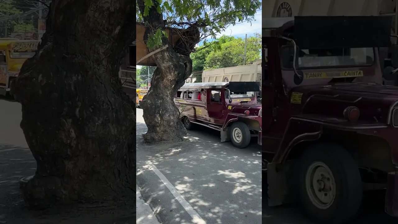 So Many Jeepneys #shorts #short #shortvideo #shortsvideo #travel