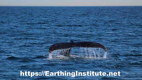Grounding to Earth