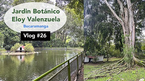 0:00 / 6:26 Jardín Botánico Eloy Valenzuela - Vlog #26