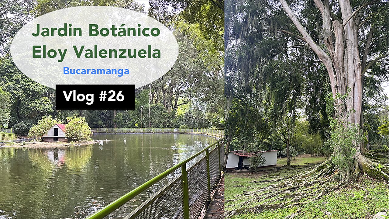0:00 / 6:26 Jardín Botánico Eloy Valenzuela - Vlog #26