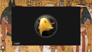 Streaming with the community