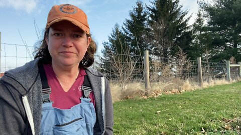 Managing Poison Hemlock