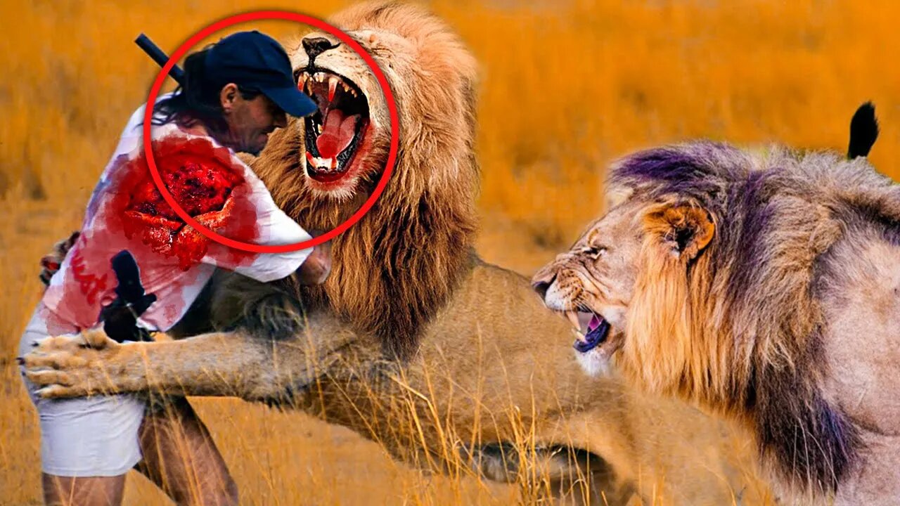 Brutal Moments Hero Animals Saved human Lives Caught On Camera (Part 5)