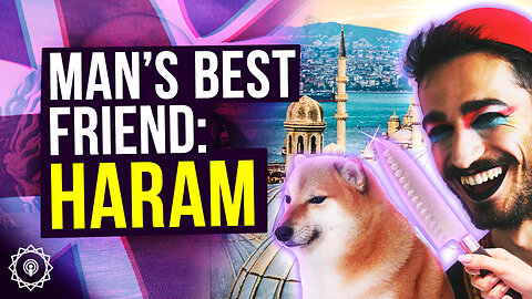 The Turkish Dog Genocide