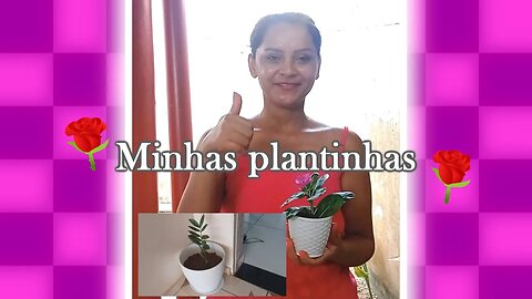 PLANTEI NOVAS PLANTAS