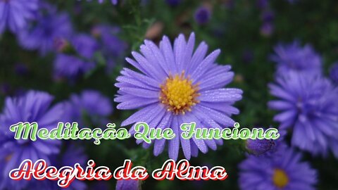 Meditação Que Funciona - Alegria da Alma - A Música nos Cura a Alma e o Corpo