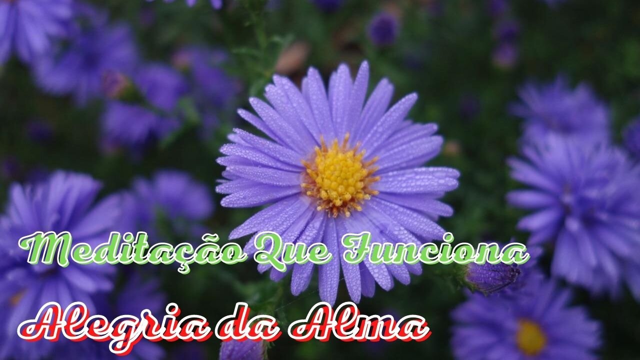 Meditação Que Funciona - Alegria da Alma - A Música nos Cura a Alma e o Corpo