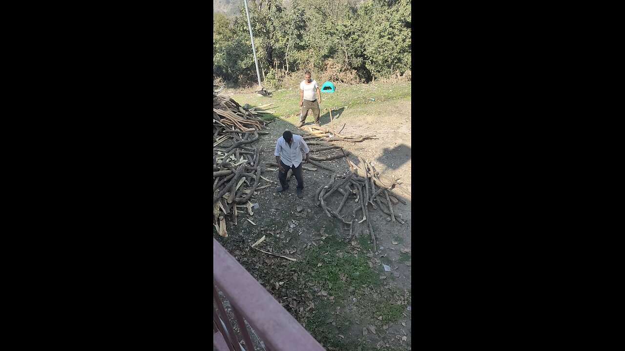 Wood cutting