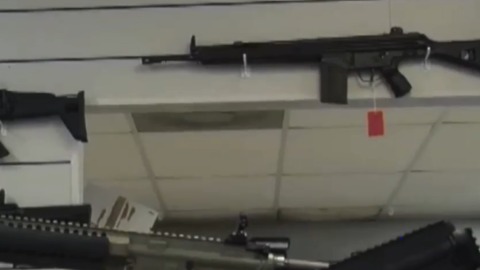 Boca Raton could join suit over gun regulations law