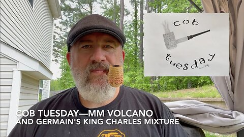 Cob Tuesday—MM Volcano and Germain's King Charles Mixture