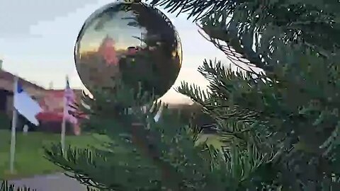 #Live #Christmas Time Freedom Flag wave