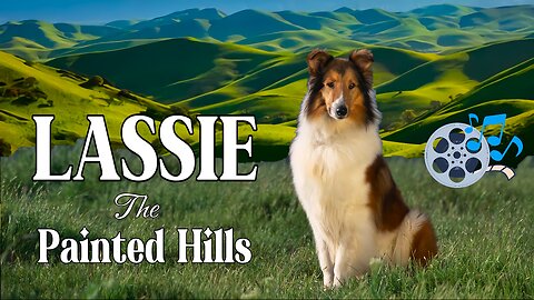 Lassie | The Painted Hills - 1951 (HD) | Starring the dog actor Pal, as "Lassie"