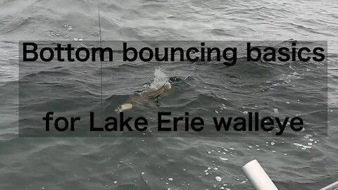 Bottom bouncing basics for Lake Erie walleye