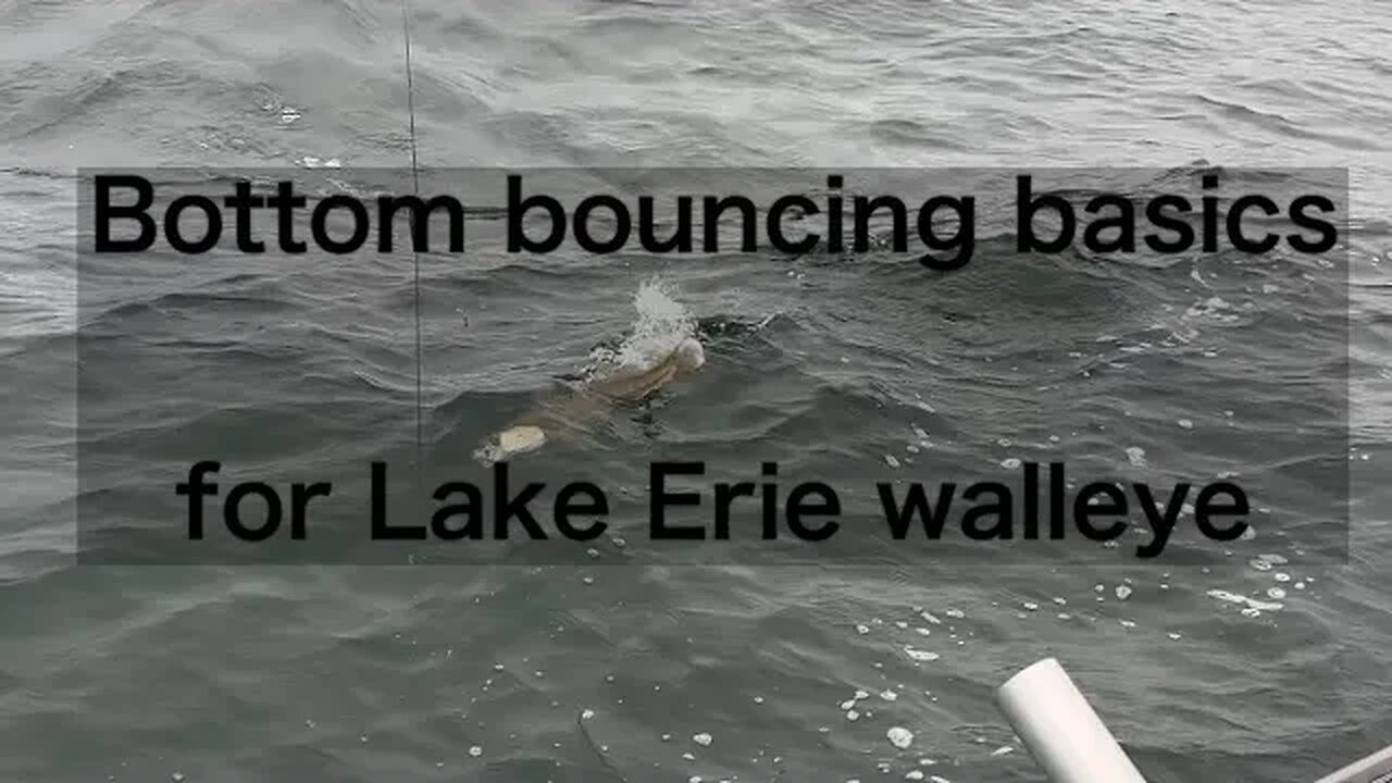 Bottom bouncing basics for Lake Erie walleye