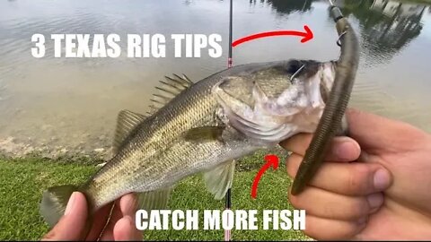 3 TEXAS RIG retrieves! | How to plastic worm fish!