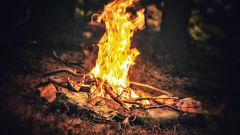 ASMR : Deep sleep cracking wood and fire sounds