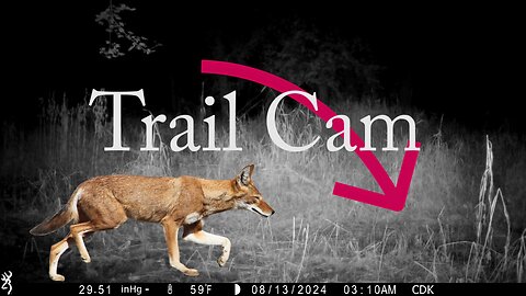 Trail Camera Adventure Episode 4
