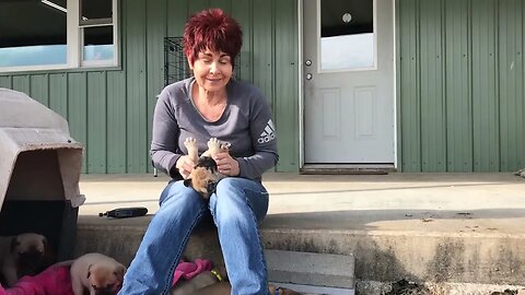 LonelyCreek puppies first time out front.