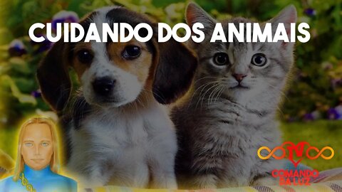 Cuidando dos seus Animais de Estimação