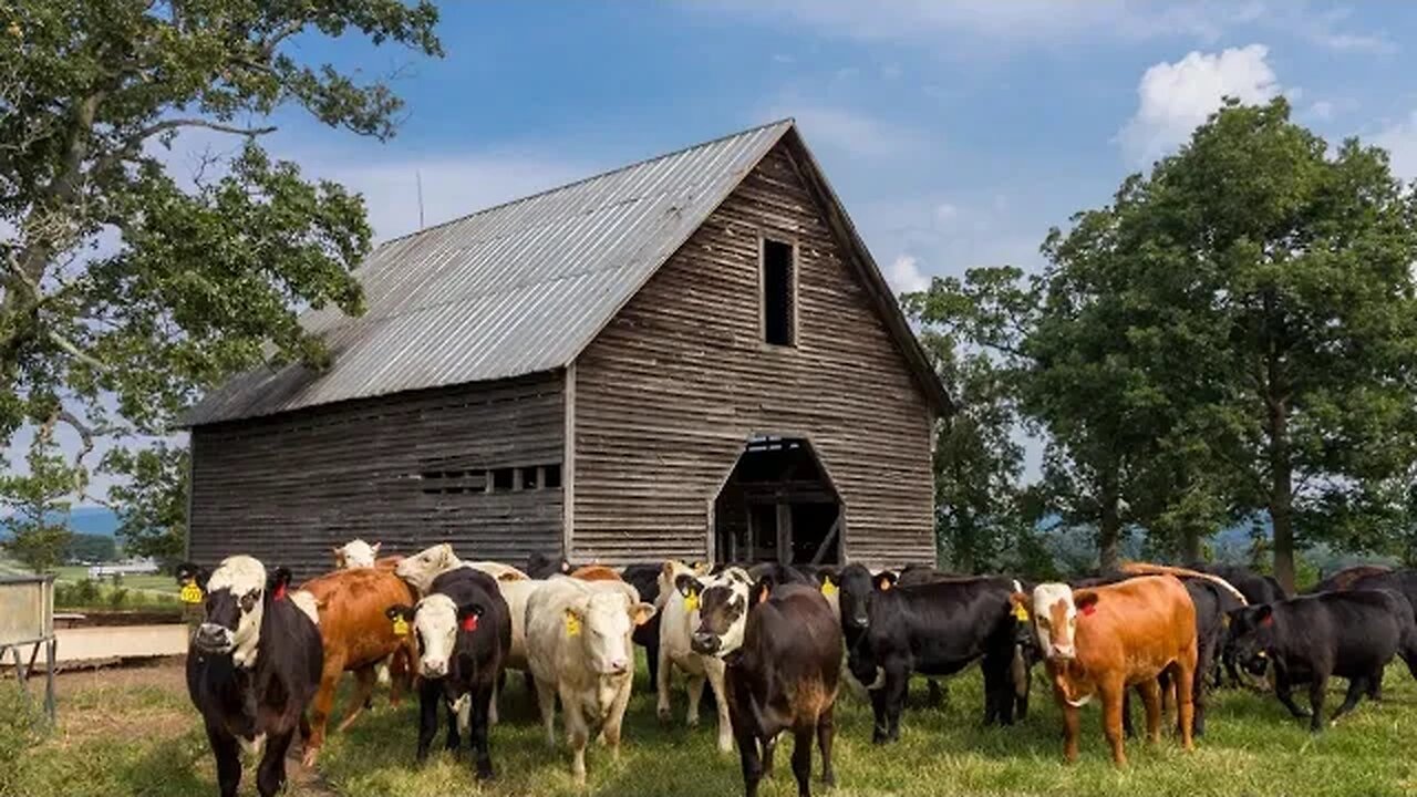 10 Amazing Facts About Barns