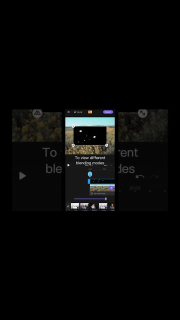 VivaCut Basic Tutorials | How to use Blending