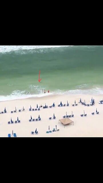 SHARK ENCOUNTER AT POPULAR BEACH🏖️🏊‍♂️🏊‍♀️🦈💫