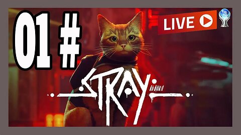 PLATINANDO: STRAY (PS4/PS5) Començando o game AO VIVO