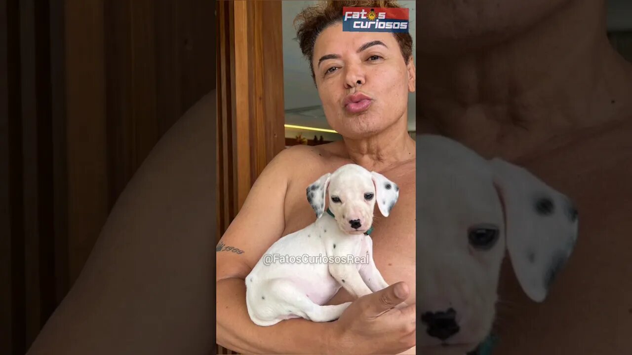 DAVID BRASIL POSTOU NOSSO VIDEO QUE COMPARA ELE COM A ESPOSA DE LULA!