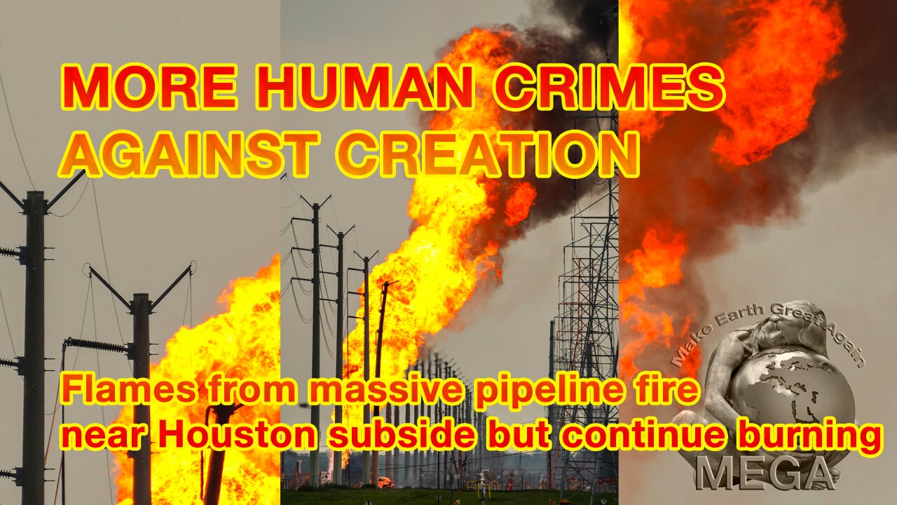 MORE HUMAN CRIMES AGAINST CREATION | Flames from massive pipeline fire near Houston subside but continue burning | Find document with more vids BELOW in the description
