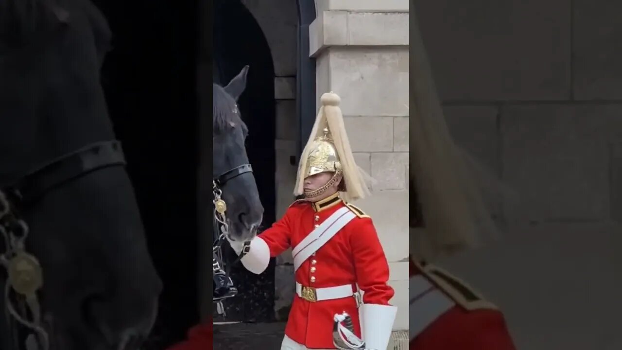 Check the bit #horseguardsparade