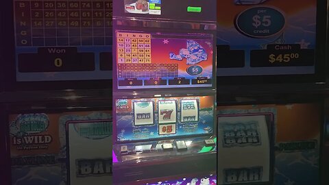 Polar High Roller Hasn't Paid Us In Forever!! #casino #casinolife