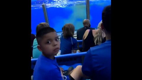 This Kid Knew The Sh!t Was About To Hit The Fans