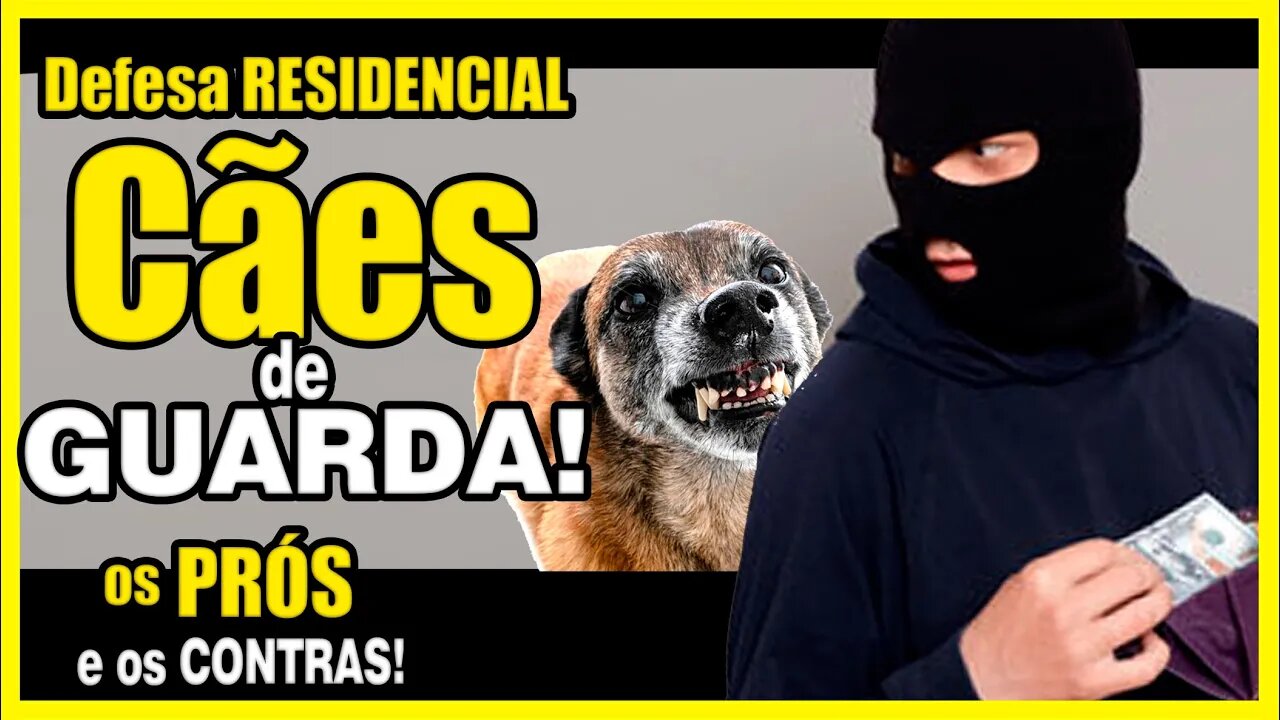 Cães de Guarda! Prós e contras!