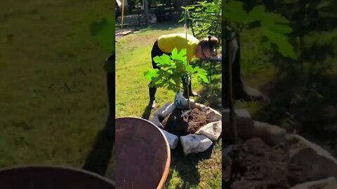 This HAPPENED while we were GONE! 👀 #shorts #viral #trending