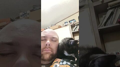 nap time with kitty #kittycat #shortsvideo #kitty #shortsfeed #cutekitty #youtubeshorts #catlover