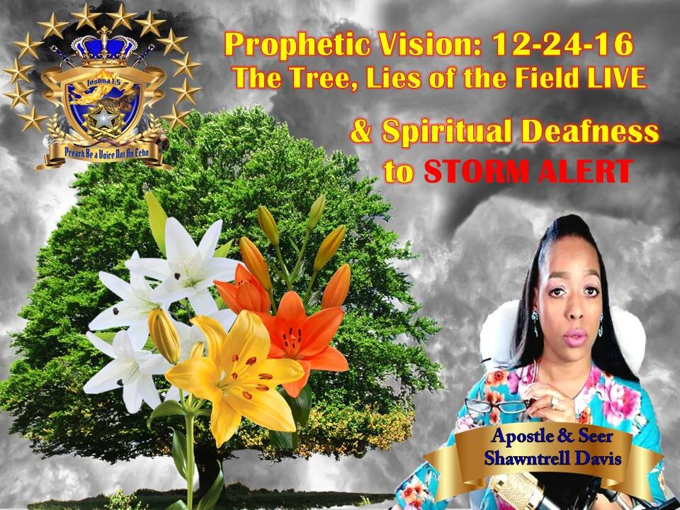 Vision 12-24-16 The Tree Lilies Alive STORM WARNING spiritual Deafness