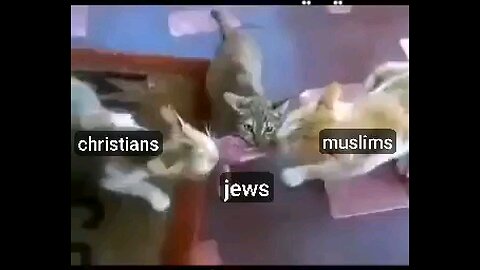 Christians Muslims and Jews