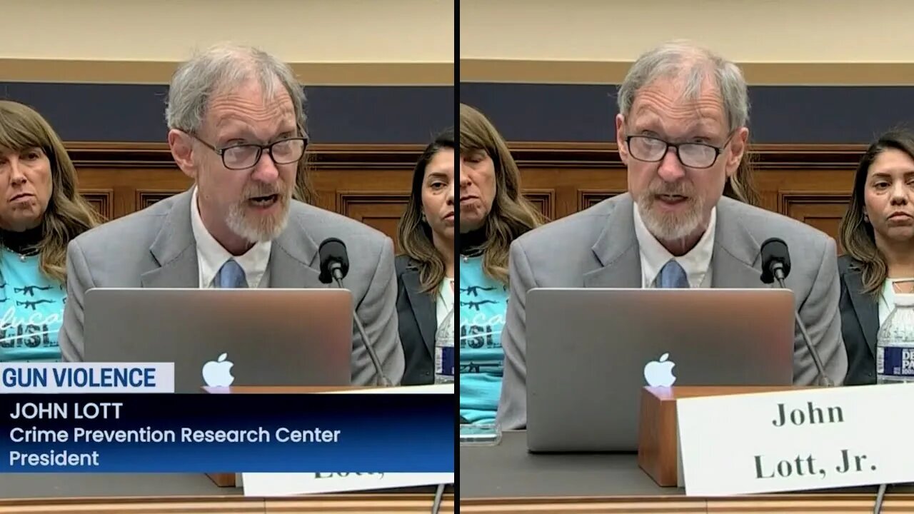GOP witness calmly debunks every single gun control myth Democrats push