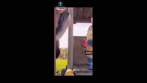 Try not to laugh 4 😂😂