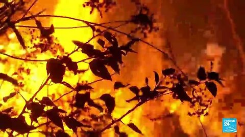 América Latina en llamas por las consecuencias del cambio climático • FRANCE 24 Español