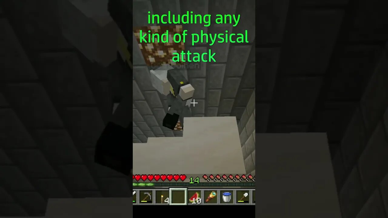 WHAT did he say?!?! #shorts #minecraft #javaedition #smp #loredquinsmp