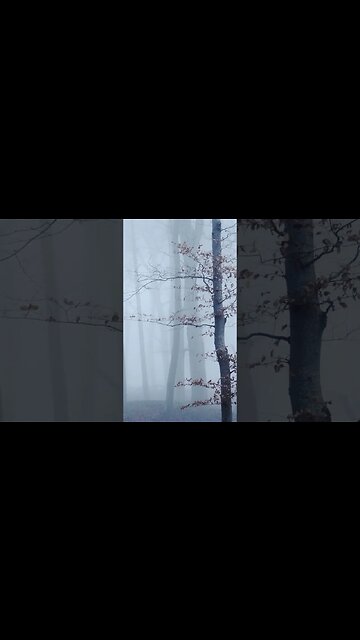 Listen to full meditations at Women's meditation network channel #meditation #sleep #shorts