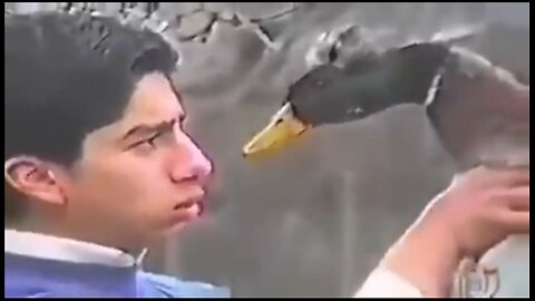 Funny Fails Compilation #1
