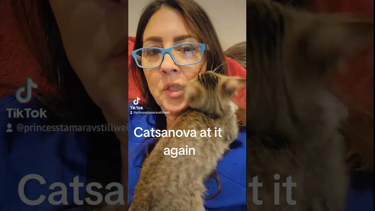 Rescue kitten Catsanova look at what you made me do
