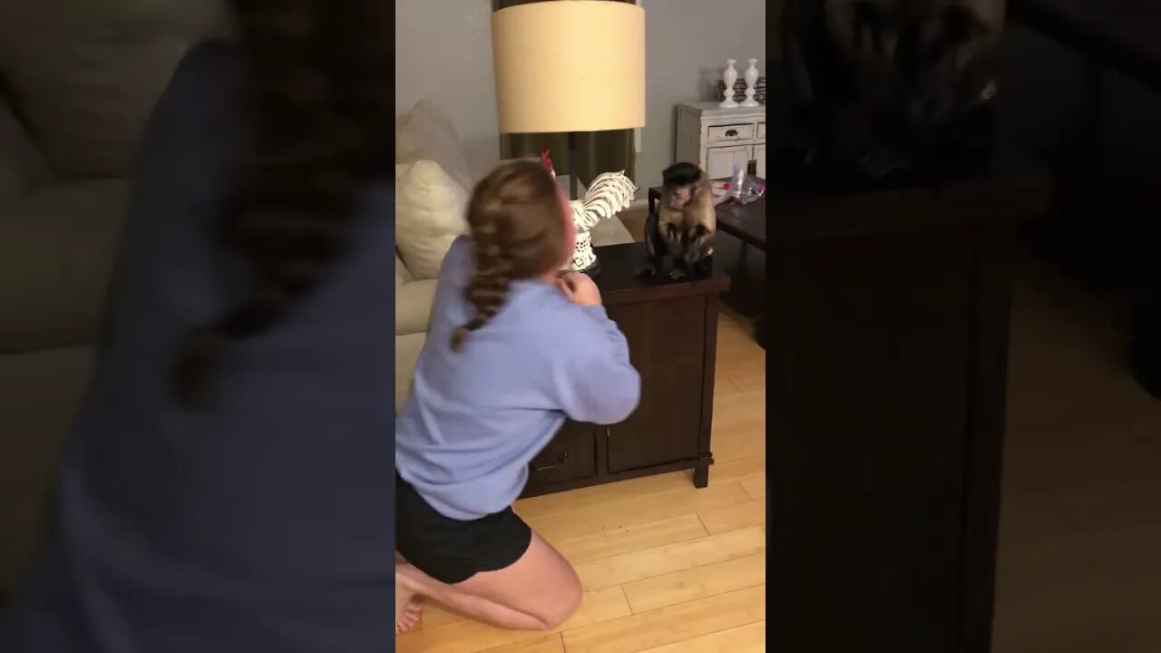 My sissy is going to bed! She always needs so many kisses 😘 🐒🤦🏻♀️😂😂😂 #Shorts