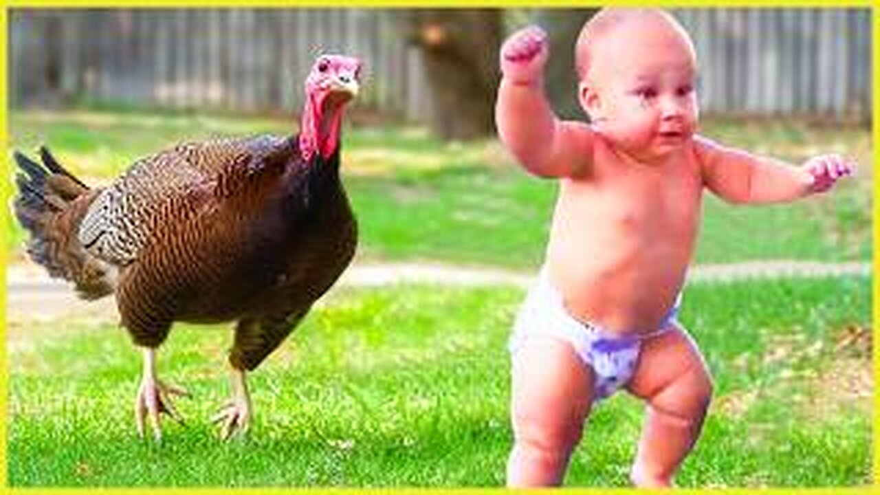 1001 Funny Reactions When Baby Meets Animal || Peachy Vines