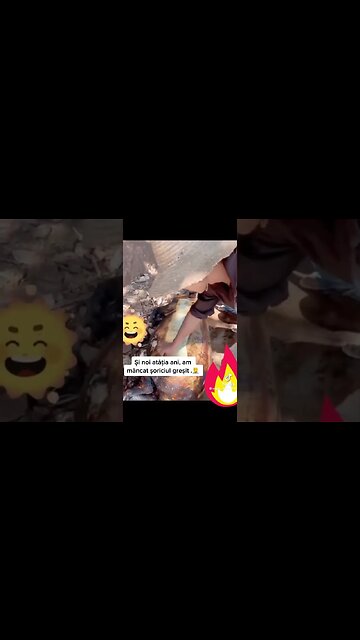 Porcul se consuma in intregime :))