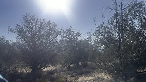“DREAMCHILD” Hike 6: VORTEXES