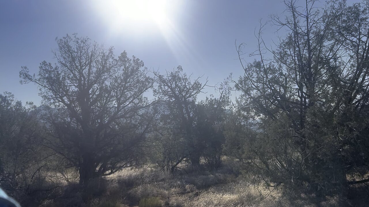 “DREAMCHILD” Hike 6: VORTEXES