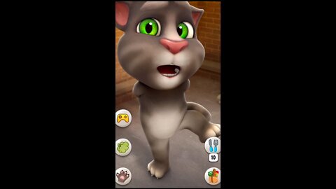 Cat video